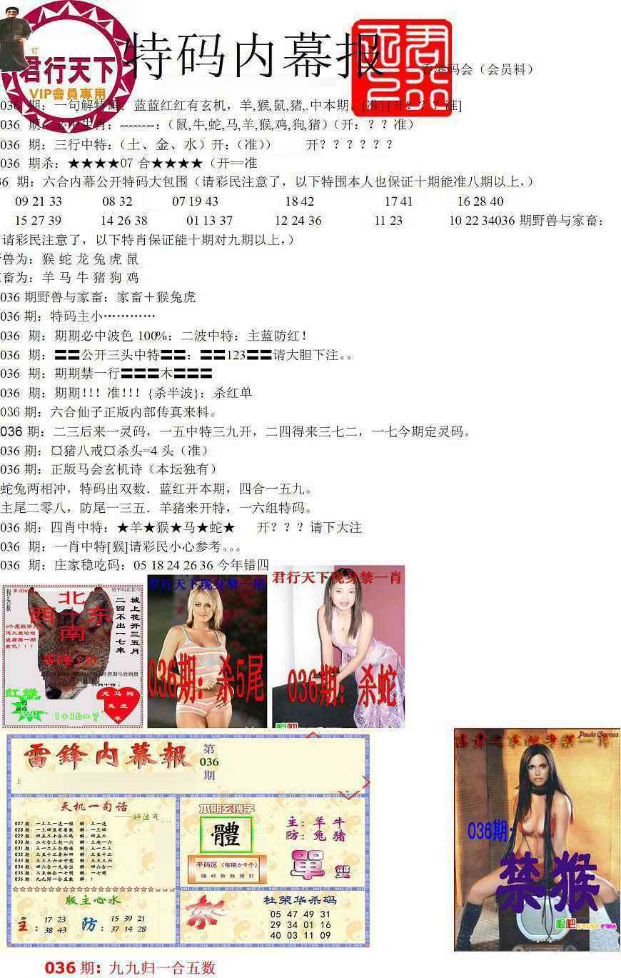 036期特码内幕报[图]